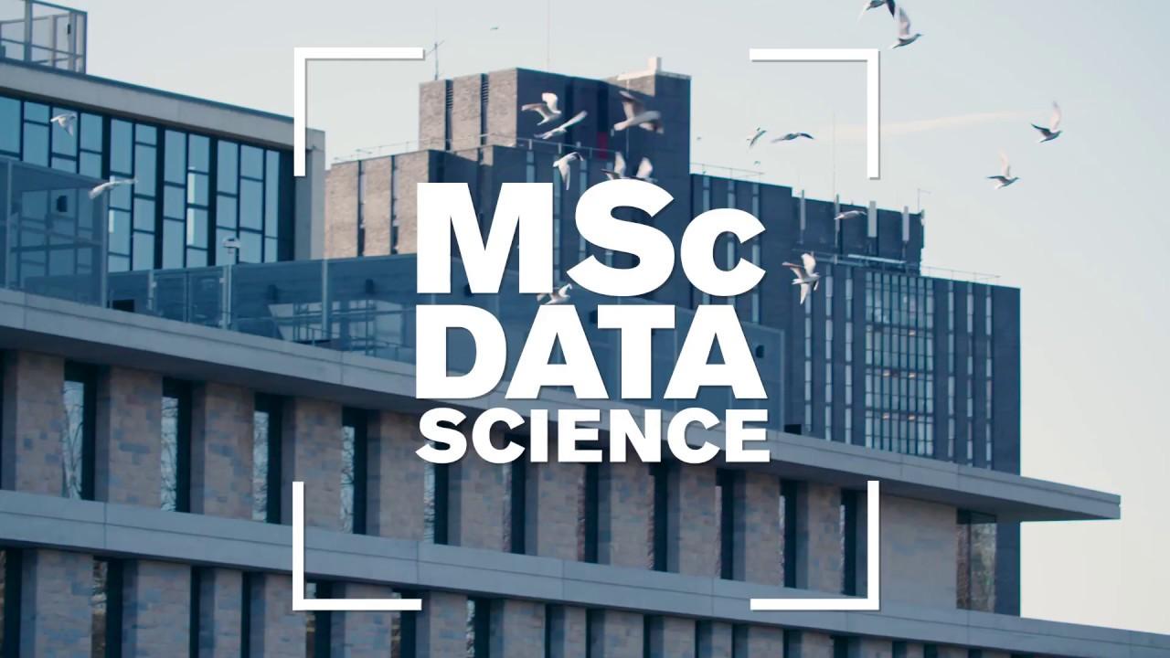 15356338062036223497